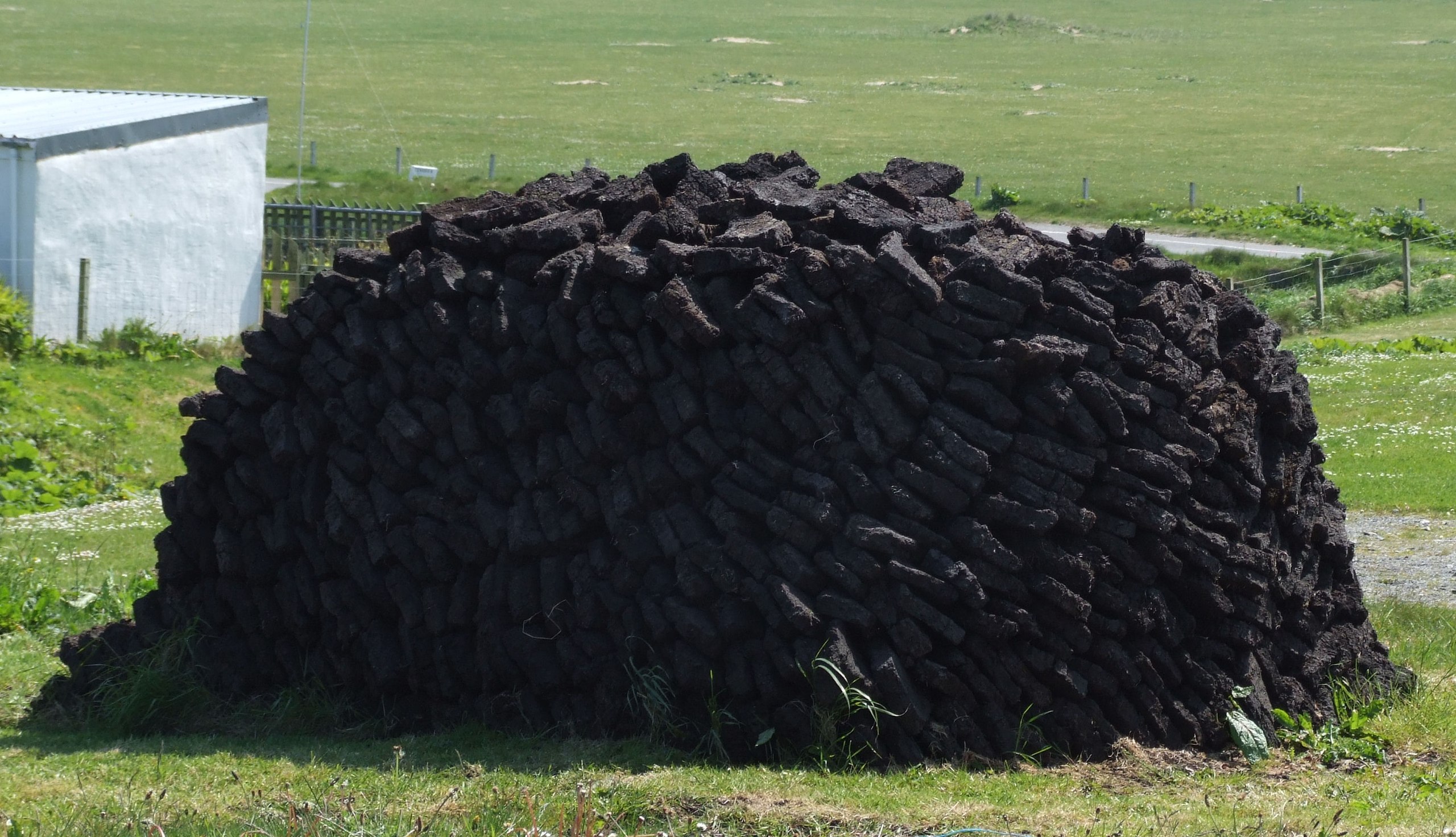 bog peat