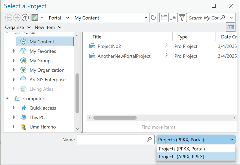 OpenItemDialogPortalProjects