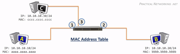 Host to Host through a Switch - Switch Functions animation