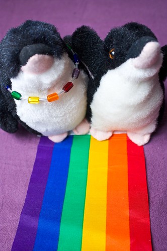 happy pride (c) 2008 penguincakes, some rights reserved reserved