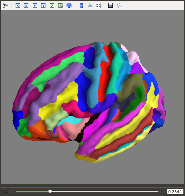 GitHub - falcondai/surf-inflater: Explore the relationship between pial ...