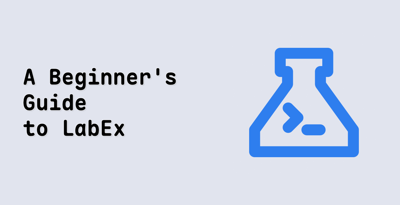 A Beginner's Guide to LabEx