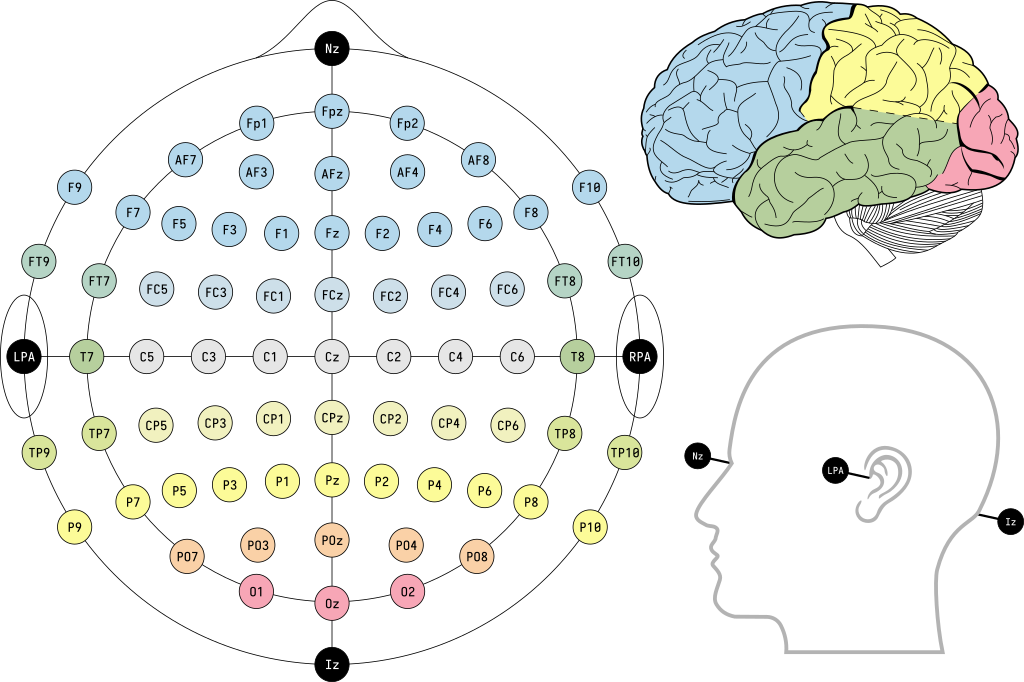 1024px-EEG_10-10_system_with_additional_information.svg