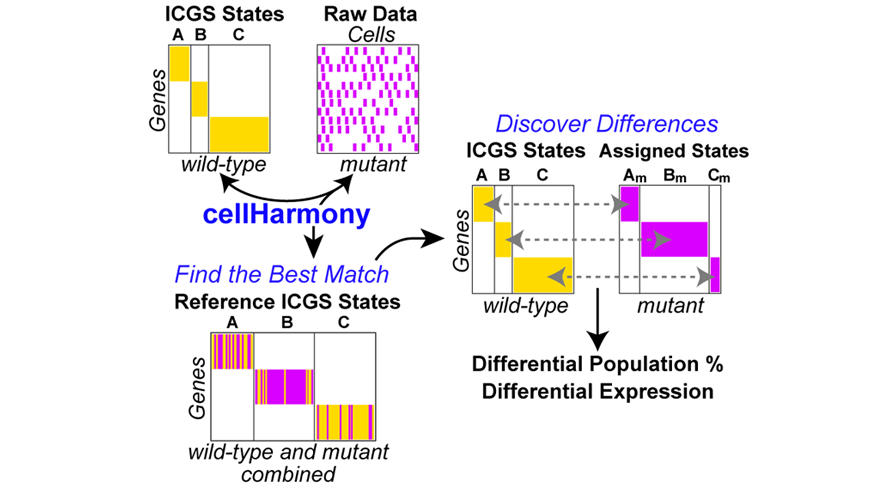 cellHarmony workflow